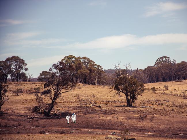 Police and ATSB investigators at the tanker crash site in the Snowy Mountains. Source: NSW Police/ATSB