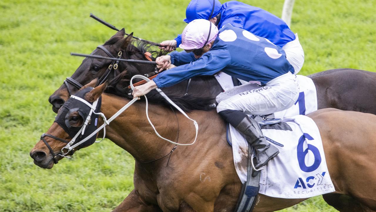 No Compromise (outside) should be right in the finish if he gets a wet track. Picture: Getty Images