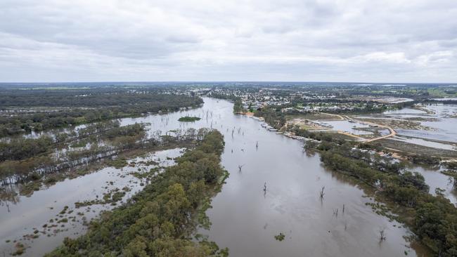 Renmark Houseboats, Nov 2022. Picture: Riverland Commercial Photography