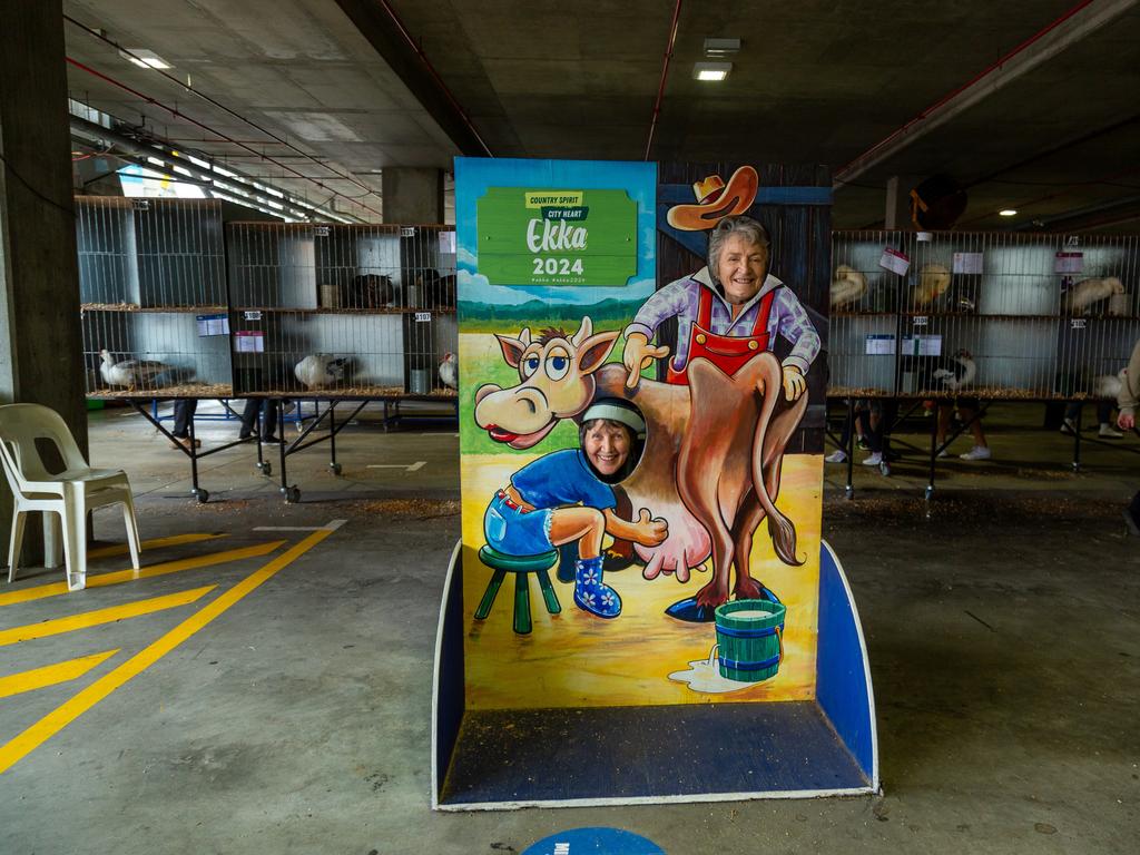 51 pics: Ekka-goers brave big wet on day 3 | The Courier Mail