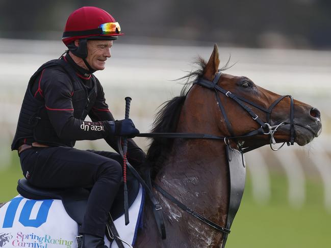 NCA. MELBOURNE, AUSTRALIA. October 14 , 2024. RACING.  Werribee track work . Aidan OBrien trained Jan Brueghel ridden by Dean Gallagher during this mornings work    .  Pic : Michael Klein