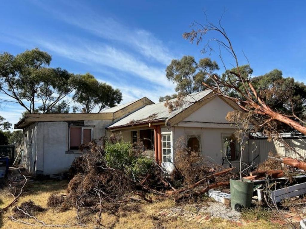 You’ll need to clear a few trees as part of works. Picture: realestate.com.au