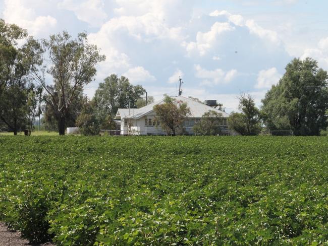 Jimbour farming property goes under the hammer for $3.25 million