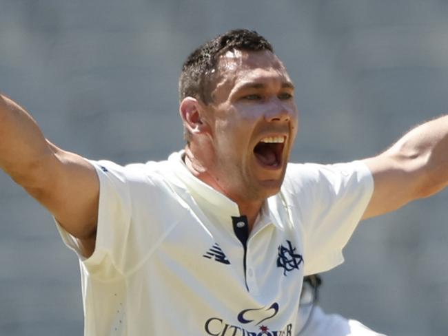 MELBOURNE, AUSTRALIA - OCTOBER 22: Scott Boland of Victoria unsuccessfully appeals to the umpire during the Sheffield Shield match between Victoria and New South Wales at Melbourne Cricket Ground, on October 22, 2024, in Melbourne, Australia. (Photo by Darrian Traynor/Getty Images)