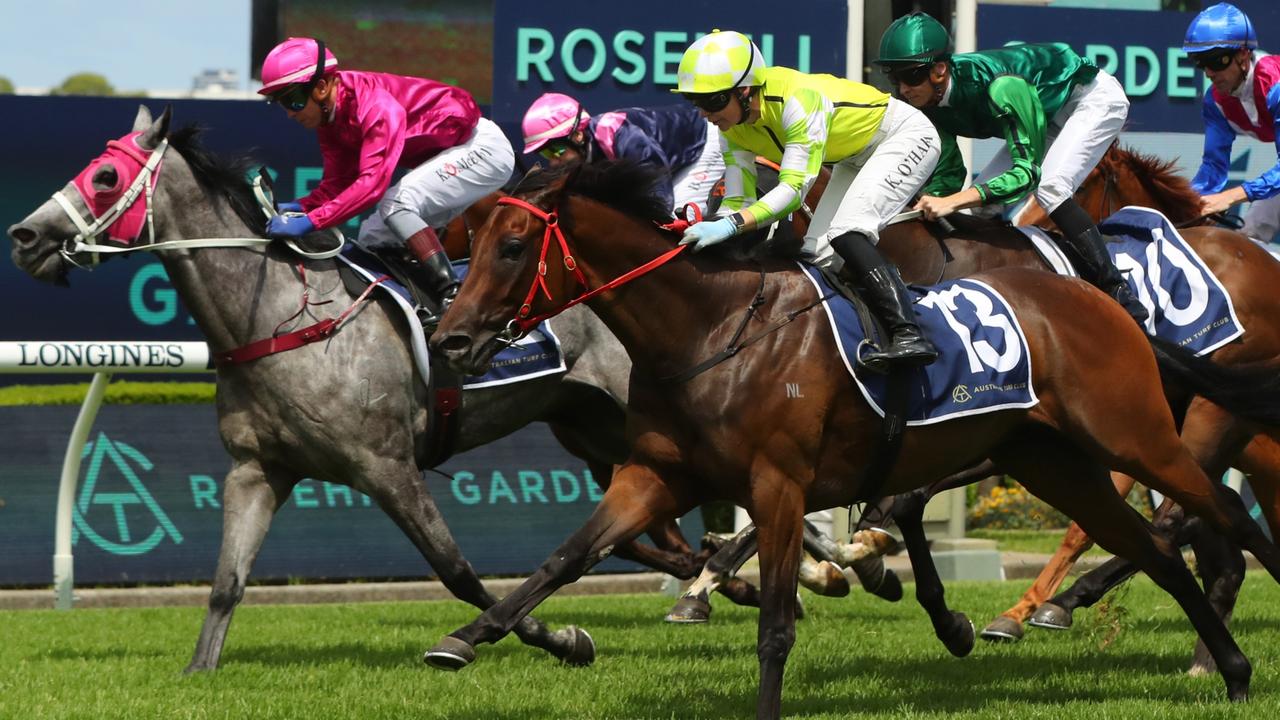 Gracilistyla (cerise) was a close second to Hokkaido (yellow) at Rosehill first-up. Picture: Getty Images