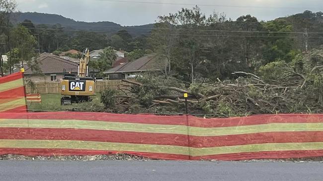 Trees removed to make way for a new Woolworths supermarket at Brygon Creek Drive in Upper Coomera. Picture: Kristy Coxshall/Facebook.