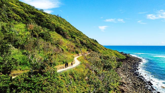 Jellurgal cultural tour at Burleigh Heads. Picture: Chris Proud