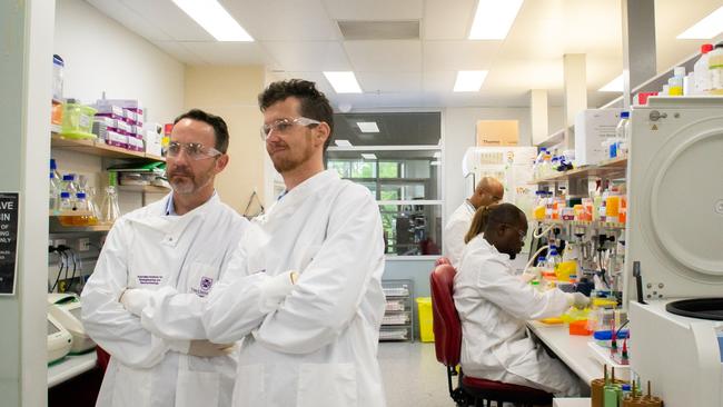 Second chance: Professor Trent Munro and Associate Professor Keith Chappell in the University of Queensland laboratory.