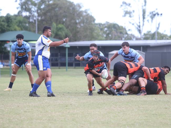 GCDRU round 2. Helensvale vs. Coomera. 1st Grade. 13 April 2024 Helensvale Picture by Richard Gosling