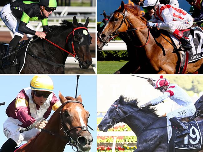 Randwick will host a Spring-shaping trial on Friday featuring star gallopers (clockwise, from top left) Private Eye, Giga Kick, Celestial Legend and Linebacker.