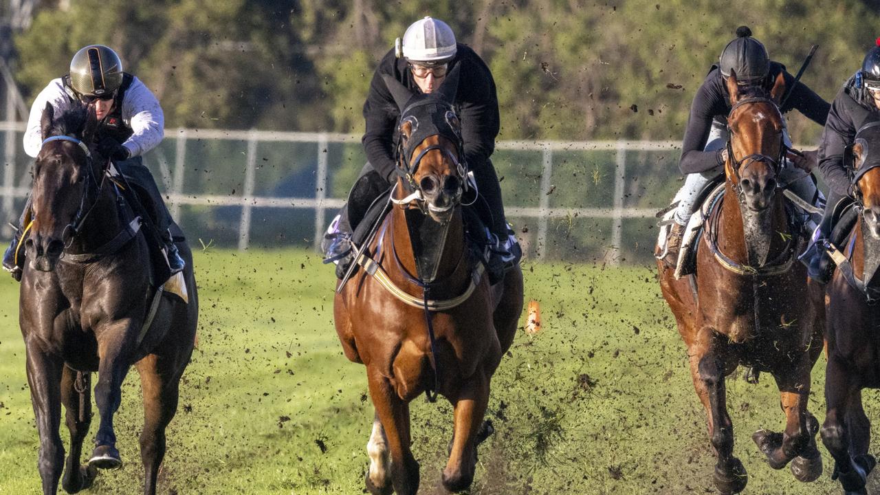 Nature Strip & Home Affairs Headline The Rosehill Jump Outs