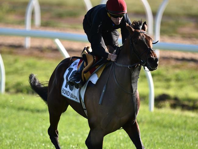 Bondi Beach works at Werribee on Monday afternoon. Picture: AAP