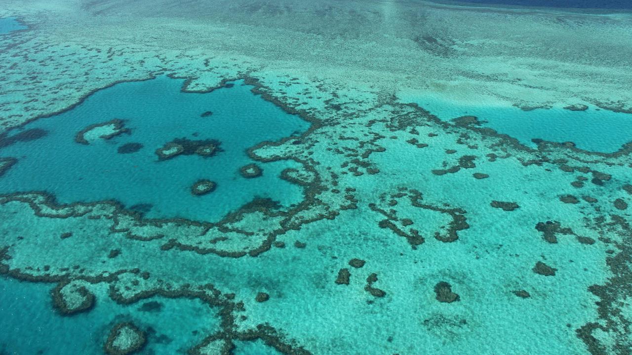 Fluffy clouds to help save Great Barrier Reef | KidsNews