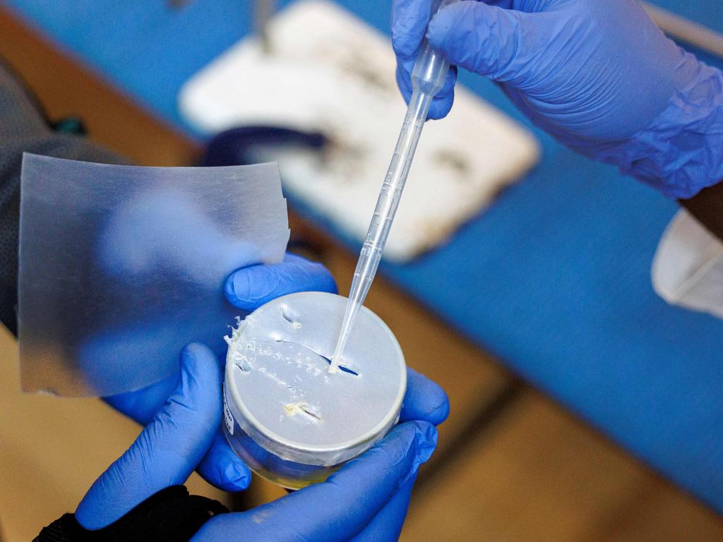 The anti-venom could be used to treat a variety of different snake bites. Picture: Tony Karumba