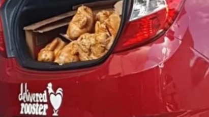 Chickens appeared to be stuffed in the back of a Red Rooster branded hatchback. Picture: Facebook