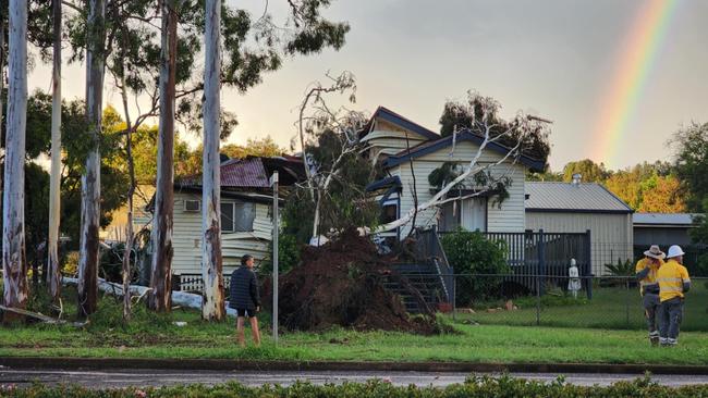 In January, an elderly man was hospitalised with a head injury after one of the trees fell onto his house and crashed through the roof. Picture: Kim Anderson