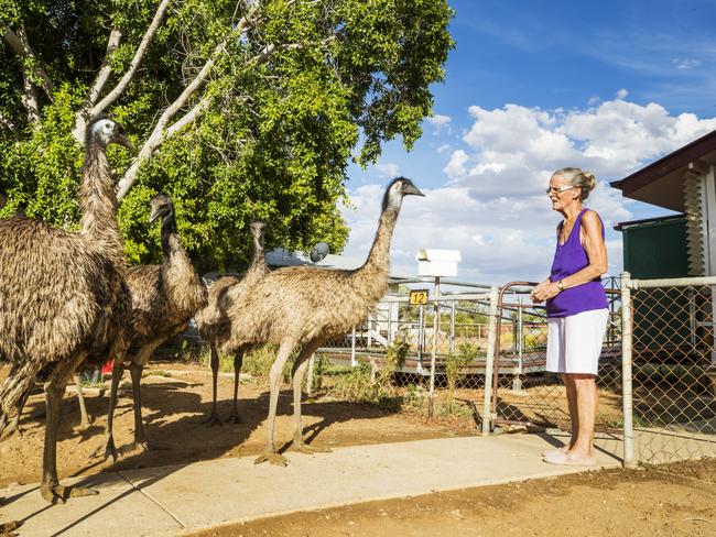 Betty Forster greets Emus outside her home in Longreach as they come in looking for a feed and a drink. Picture: Lachie Millard