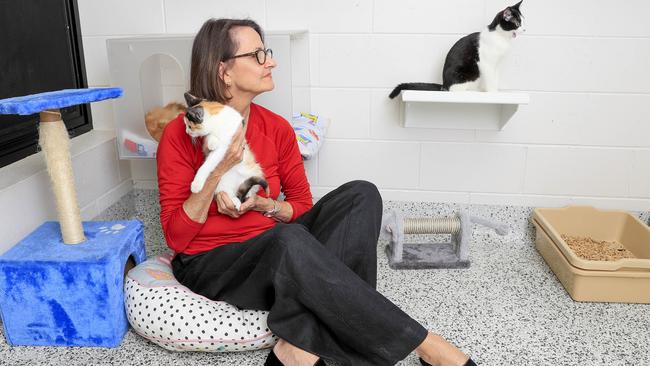 Dr Joy Verrinder is campaigning for better rights for pet owners living in rental properties. Pic Tim Marsden