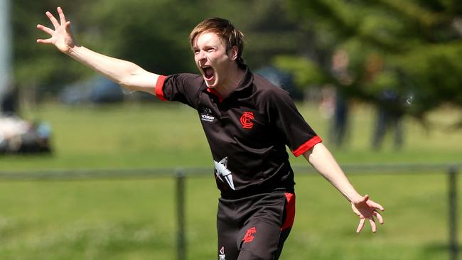 Liam Bowe appeals for a wicket against Carlton. Picture: Hamish Blair