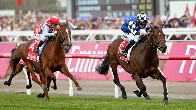 Protectionest beats home Red Cadeaux to win the Melbourne Cup in 2014. Picture: Colleen Petch