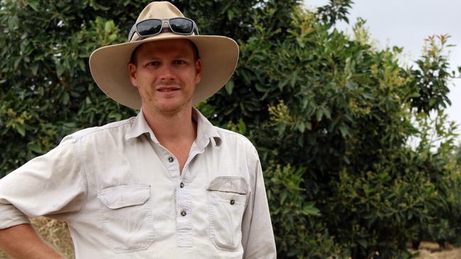 Mareeba farmer returns to Tablelands after globetrotting agriculture ...