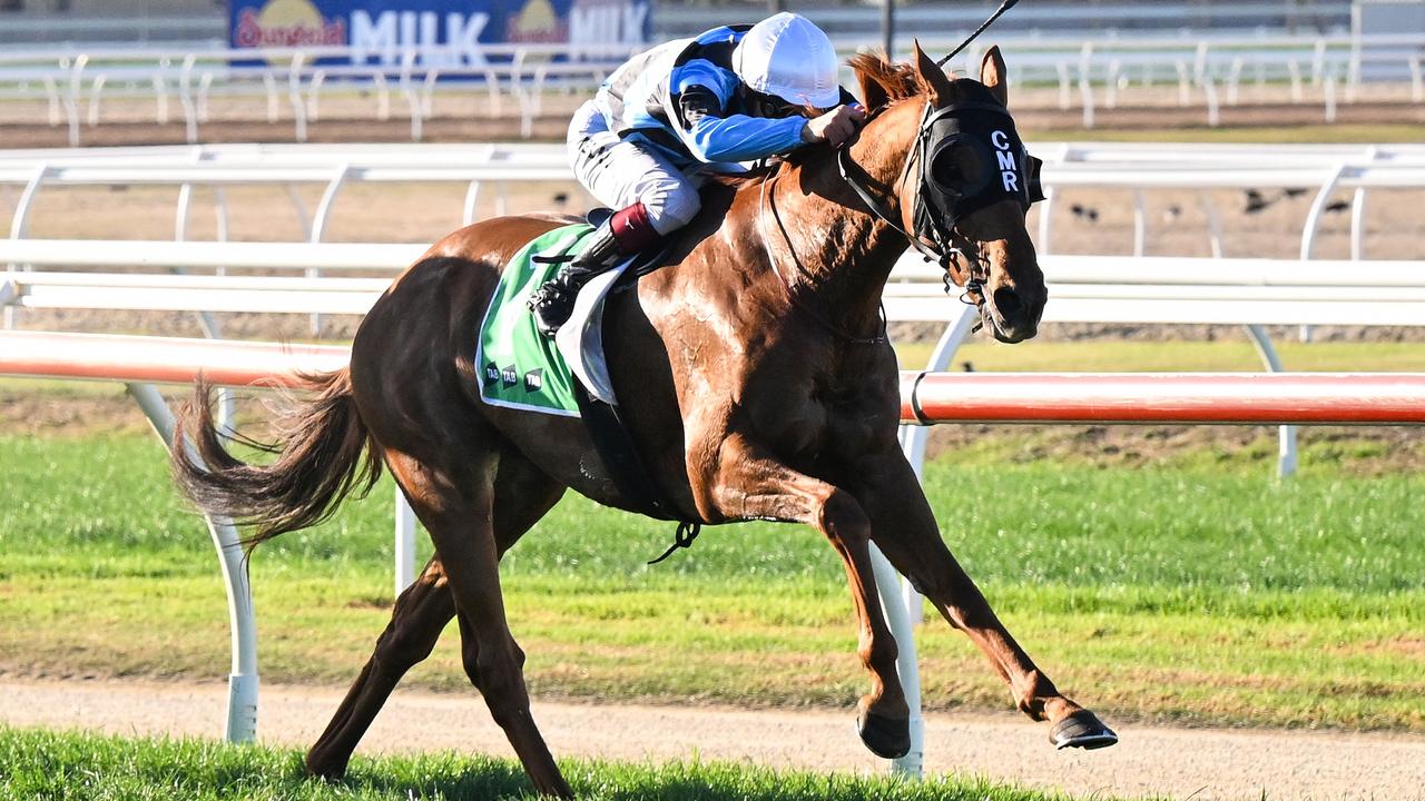 Warrnambool Cup winner Smokin’ Romans will chase a Melbourne Cup start in the Listed Andrew Ramsden at Flemington. Picture: Racing Photos
