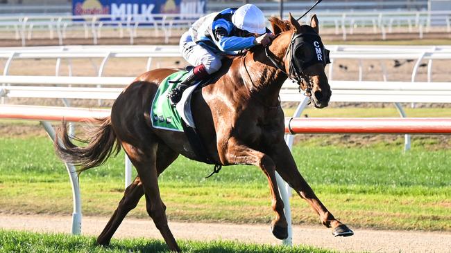 Warrnambool Cup winner Smokin’ Romans will chase a Melbourne Cup start in the Listed Andrew Ramsden at Flemington. Picture: Racing Photos