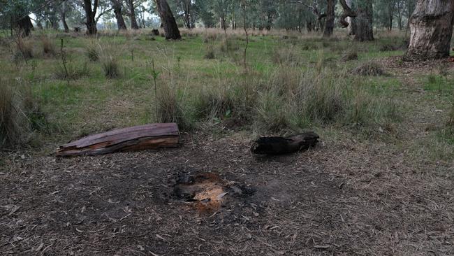 The site where the brothers had camped at Richardsons Bend campground. Picture: Simon Dallinger