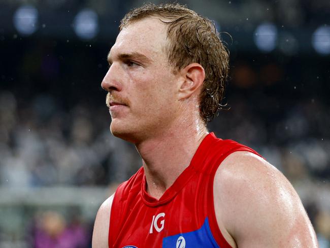 Harrison Petty hasn’t fired up forward. (Photo by Dylan Burns/AFL Photos via Getty Images)