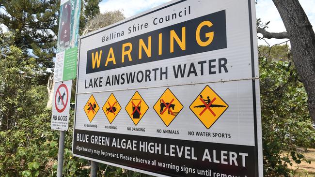 Lake Ainsworth has often been closed to swimmers in the past due to blue-green algae outbreaks. Picture: News Corp.