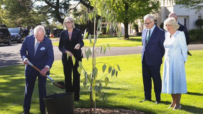 King Charles III and Queen Camilla planted two snow gum eucalyptus trees in the gardens at Government House. (Photo by Toby Melville-Pool/Getty Images)