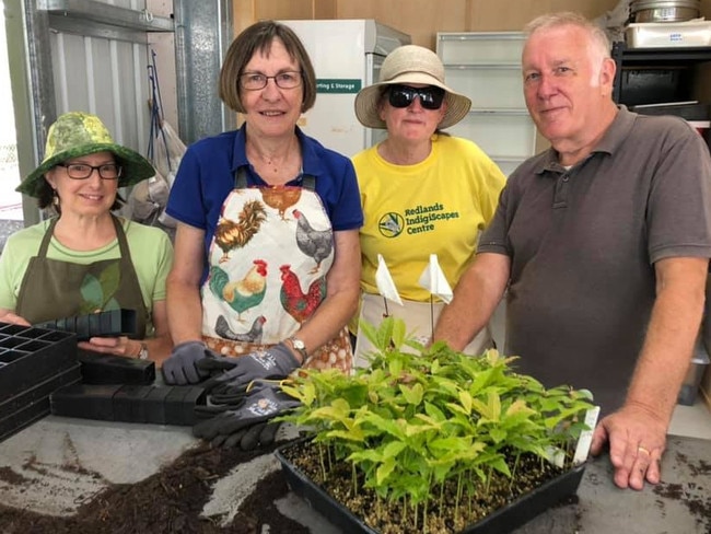 Nursery volunteers (from left) Penny White, Carol Kennedy, Maureen Tottenham and Nick Foster. Photo: Paula Shearer.