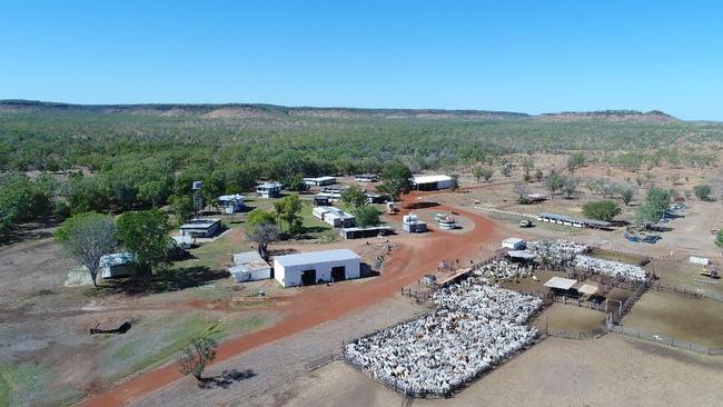 Hancock Agriculture's Willeroo Station has been listed for sale.