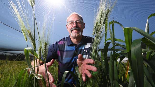 Canadian scientist, Associate Professor Stuart Smyth is in Adelaide to speak at Growing SA Conference. Picture: Tait Schmaal