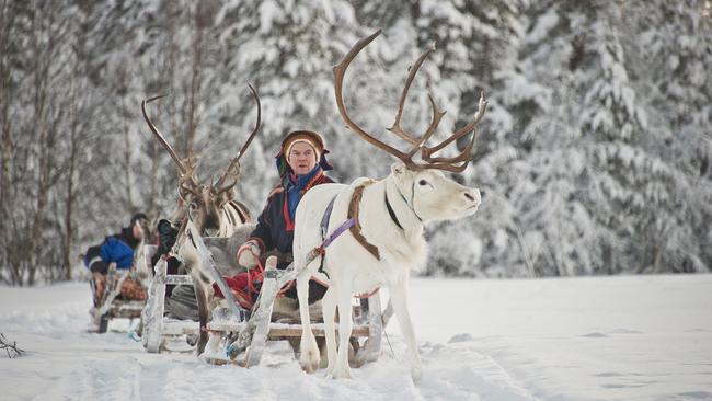Reindeer safari at Kakslauttanen Arctic Resort.