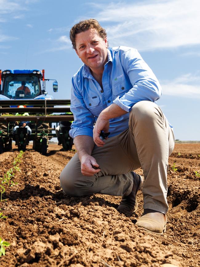 GO.FARM managing director Liam Lenaghan during tomato planting operations at their Lake Boga property in northern Victoria. Picture: Aaron Francis