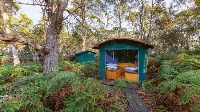 Maria Island Walk: The wild wombat hike that needs to be on your Aussie ...