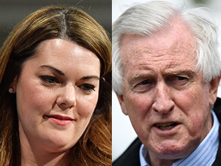 Former federal Liberal leader John Hewson has backed Greens Senator Sarah Hanson-Young.