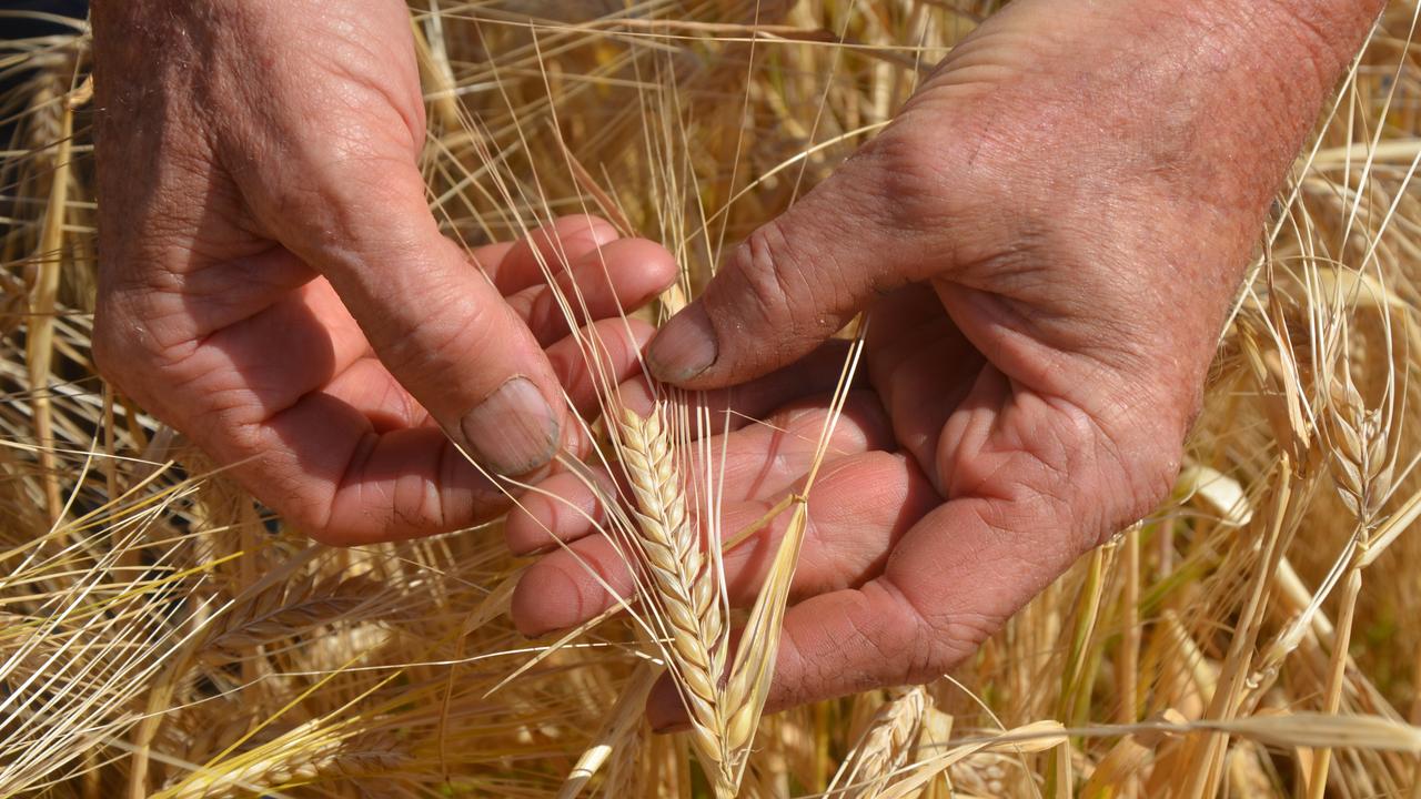 China will remove its 80 per cent barley tariff from Saturday.