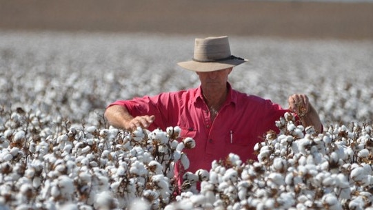 ‘They’re building a Rolls Royce when we need a Commodore’: Farmers fury at Sunwater