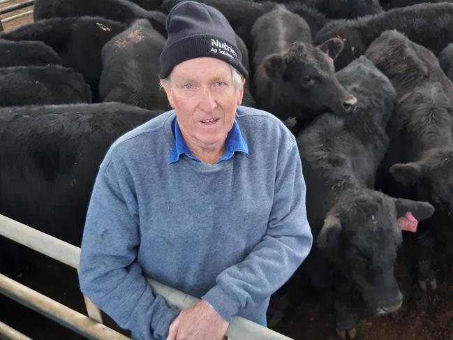 Malcolm white, inverugie pastoral at yea sold 200 Angus steers and heifers to a top of $1870 for steers at 342kg. Picture: Jenny Kelly