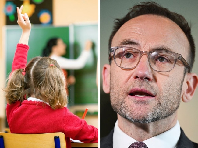 Adam Bandt and the Greens are taking a $10bn policy to the election to make public schools completely free.