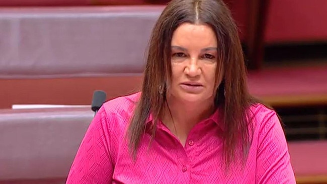 Jacqui Lambie criticised Pauline Hanson in the Senate.