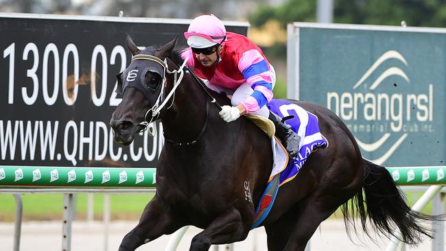 Brad Stewart rides Stolen Jade to victory at the Gold Coast. Picture: Trackside Photography
