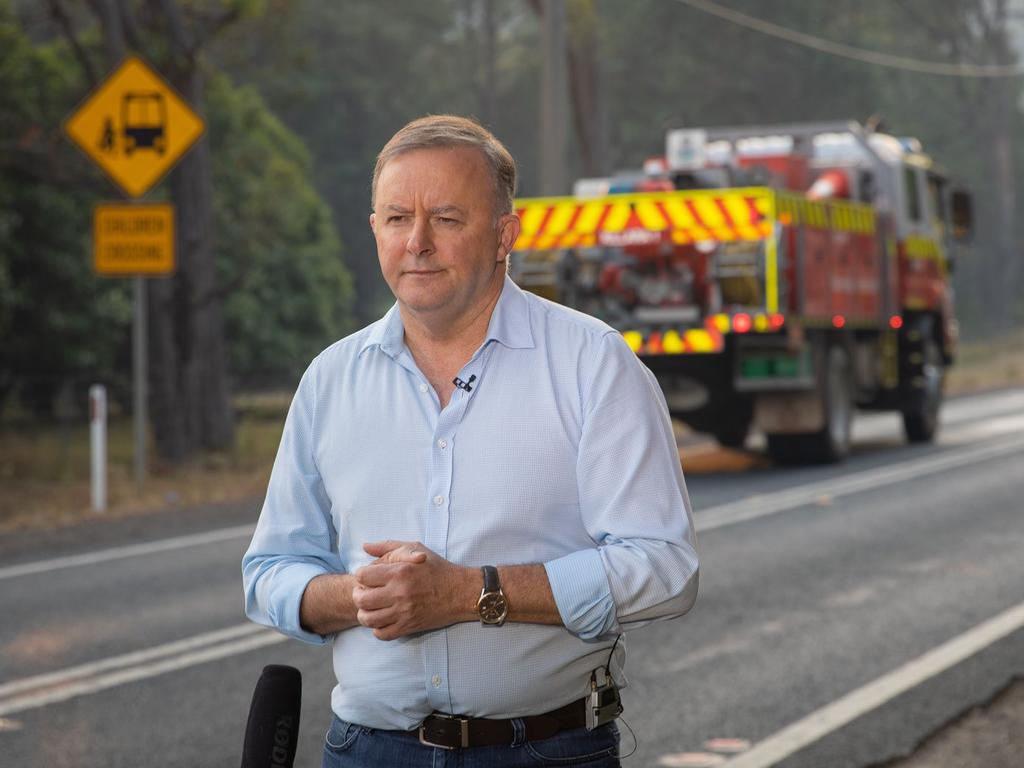 Anthony Albanese has been the only politician to acquit himself with dignity during the fire crisis. Picture: Twitter