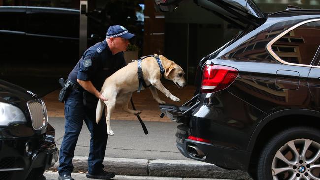 Police officer and his sniffer dog inspect cars before Obama leaves his hotel in Sydney. Picture: NCA NewsWire / Gaye Gerard.