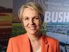 Minns may throw $1bn mine a lifeline, pressure mounts on Plibersek