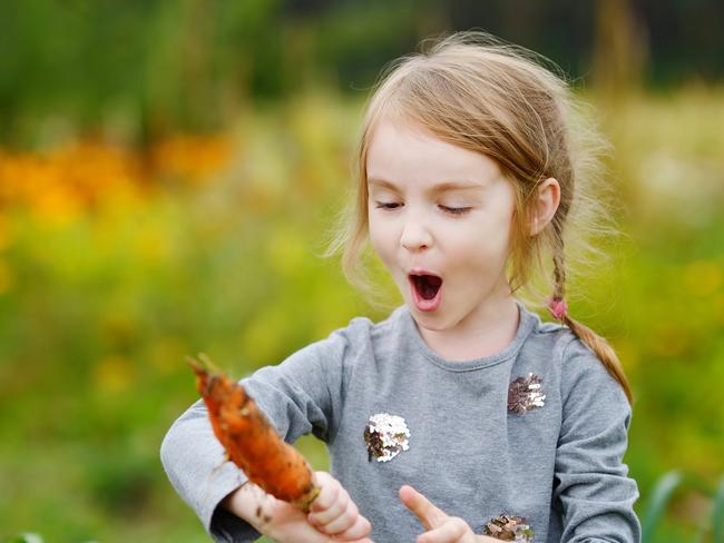 Junior Landcare Challenge Image supplied for Life Flora Mar 28