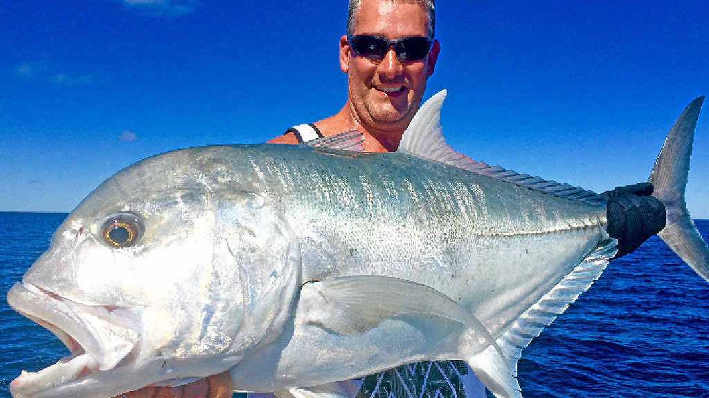 ᐅ Salamander Reef fishing reports🎣• Queensland, Australia fishing