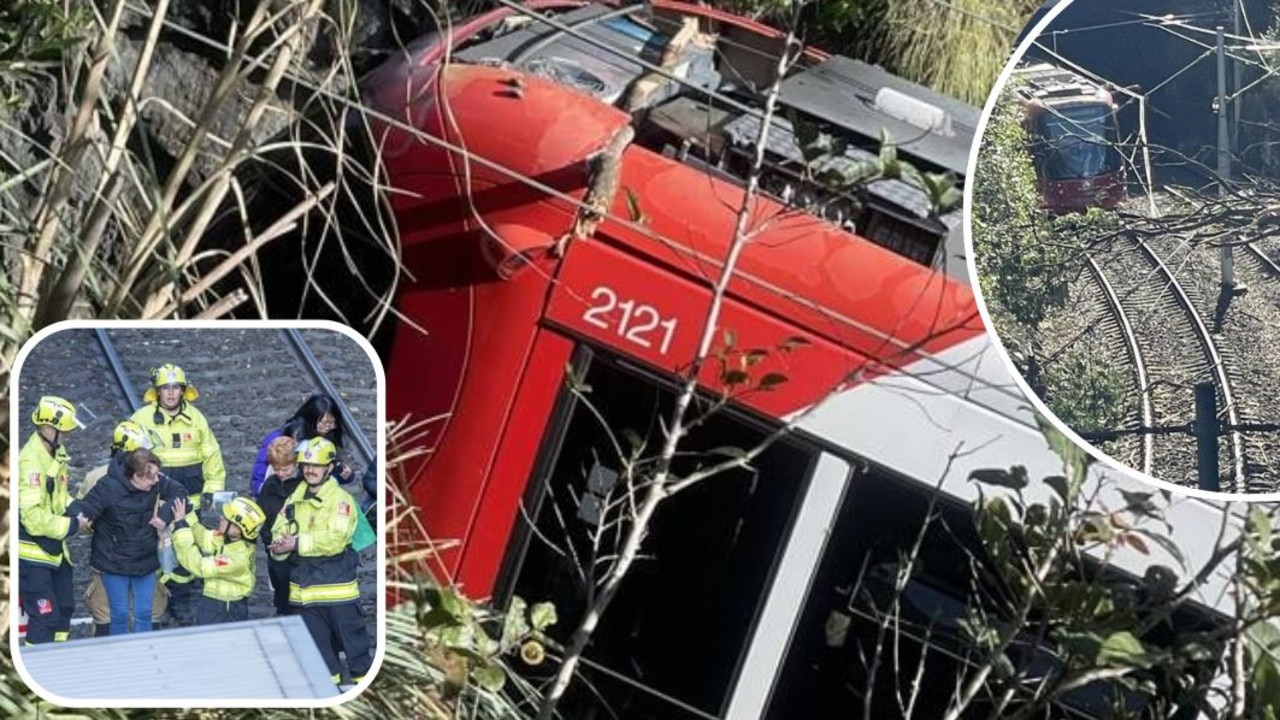 Sydney L1 Light Rail Hit By Tree Passengers Trapped Daily Telegraph